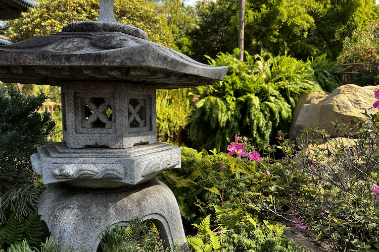 A serene garden scene from the Japan Pavilion at Epcot in Walt Disney World, featuring a traditional stone lantern surrounded by lush greenery and vibrant pink flowers. The intricate design of the lantern contrasts beautifully with the natural textures of the ferns and rocks in the background. The composition exudes tranquility and harmony, reflecting Japanese garden aesthetics. Shot on iPhone. A work by John Paglia.