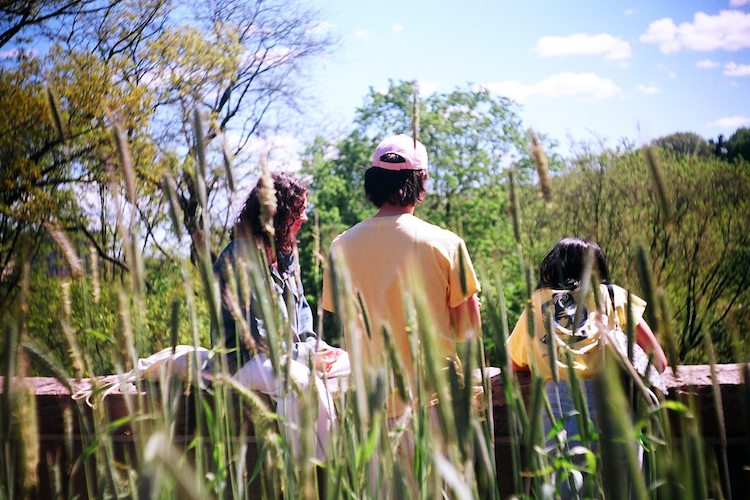 A group of three people standing near a stone railing at The Met Cloisters, surrounded by tall grass and vibrant greenery. One person with curly hair wears a denim jacket, another, wearing a pink cap and yellow shirt, faces away, and the third, also in a yellow shirt, carries a bag. The scene is framed by tall blades of grass in the foreground, with the lush trees and blue sky in the background, capturing the tranquil and natural beauty of the museum's outdoor setting. Captured on an Argus C3 camera with Kodak Ektar film - A work by John Paglia