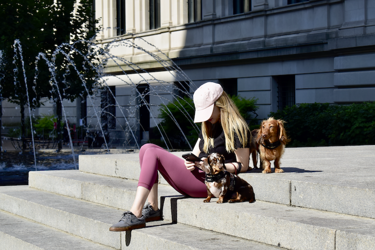 A woman sitting on the steps outside the Metropolitan Museum of Art, wearing a black t-shirt, pink leggings, gray Nike sneakers, and a light pink cap, while holding a smartphone. She is accompanied by two dachshunds, one with a brown coat and another with a dappled brown and white coat. In the background, water fountains spray gently, and the museum's classic architecture is partially visible. Captured on a Nikon D5300 digital camera. - A work by John Paglia