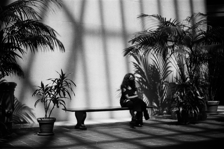 A black-and-white photograph of a woman sitting on a wooden bench in a serene corner of the Metropolitan Museum of Art. She is surrounded by potted palm plants, with their shadows casting intricate patterns on the wall and floor. The woman, wearing dark clothing and glasses, appears deep in thought, blending into the tranquil, reflective atmosphere of the space. The interplay of light and shadow adds an artistic touch to the composition. Captured on an Argus C3 camera with Ilford HP5 Plus film - A work by John Paglia”