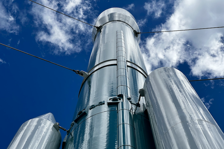 Close-up of a peach dahlia in full bloom, surrounded by soft white petals, symbolizing nature's elegance.